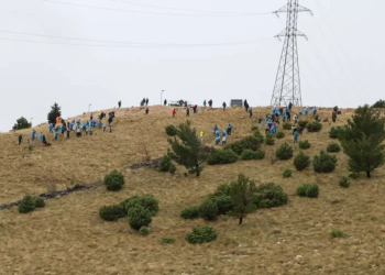 Akcija pošumljavanja na Fortici: Zasađeno više od dvije hiljade stabala