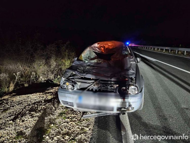 Kod Mostara vozač automobilom usmrtio kravu i zadobio povrede