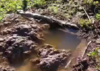 VIDEO: Fekalije u park šumi Trimuša na Bijelom brijegu