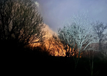 Požar na Rujištu: Mostarski vatrogasci spriječili širenje vatre