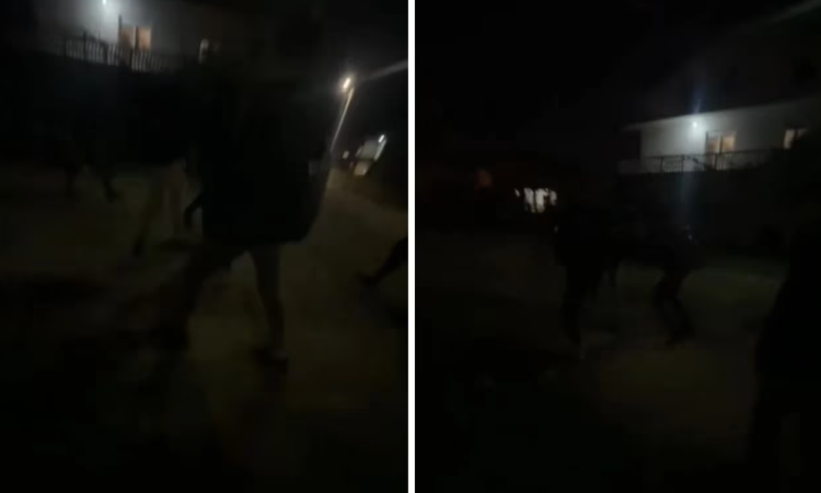 Mostar: Mladić brutalno napadnut i pretučen, maloljetnica sve snimala