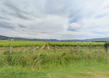 Pogledajte kome će biti dodijeljene u zakup poljoprivredne površine na području Mostara