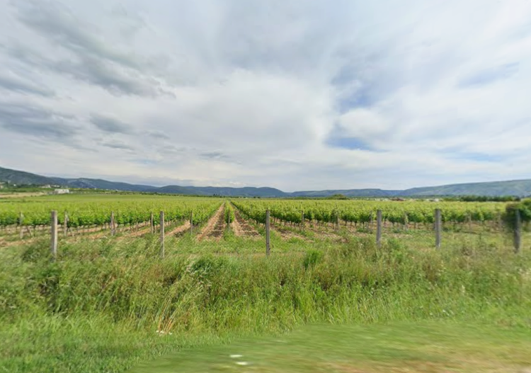 Pogledajte kome će biti dodijeljene u zakup poljoprivredne površine na području Mostara