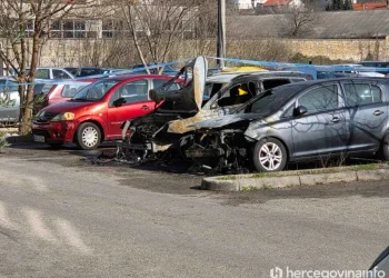 Dva vozila izgorjela u požaru u mostarskom naselju Dolina sunca