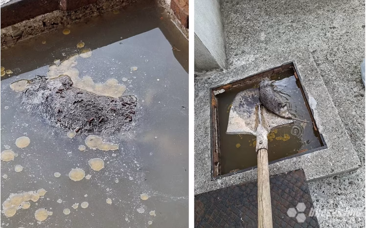 Mostarsko naselje više od mjesec dana čeka da neko zaustavi fekalije!