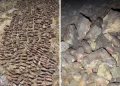 U pećini podno planine Velež pronađeno više od 730 granata iz Drugog svjetskog rata