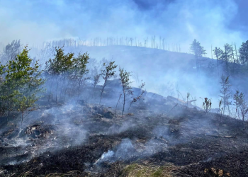 Požar na Rujištu i dalje aktivan, vatra se širi prema Velikom Rujištu