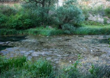Akcija čišćenja i uređenja plaže Velika pećina na Bunici