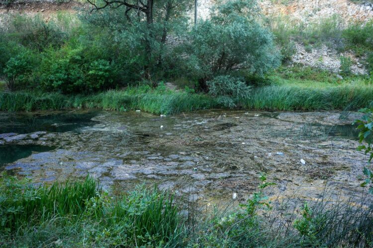Akcija čišćenja i uređenja plaže Velika pećina na Bunici