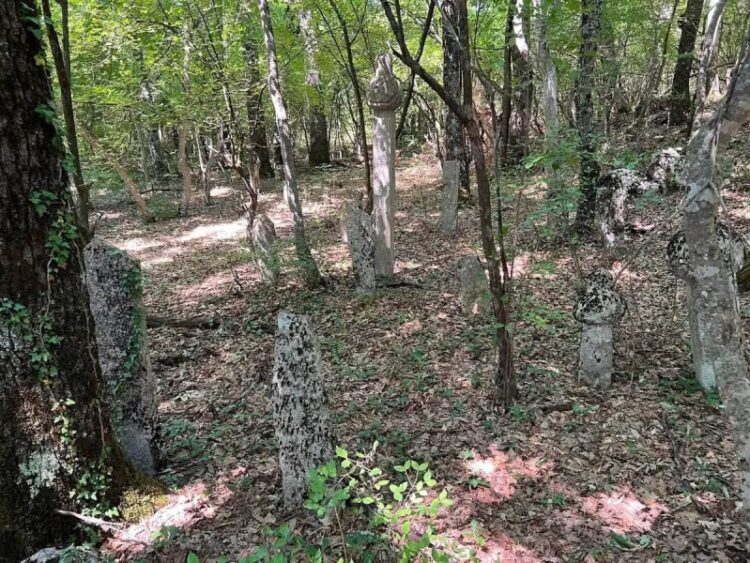 Zaboravljeni harem u Hercegovini čuva stoljetnu priču o Bošnjacima