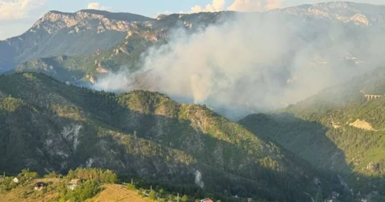 Požari na području Konjica pod kontrolom, zbog vrućina i vjetra prijeti reaktivacija